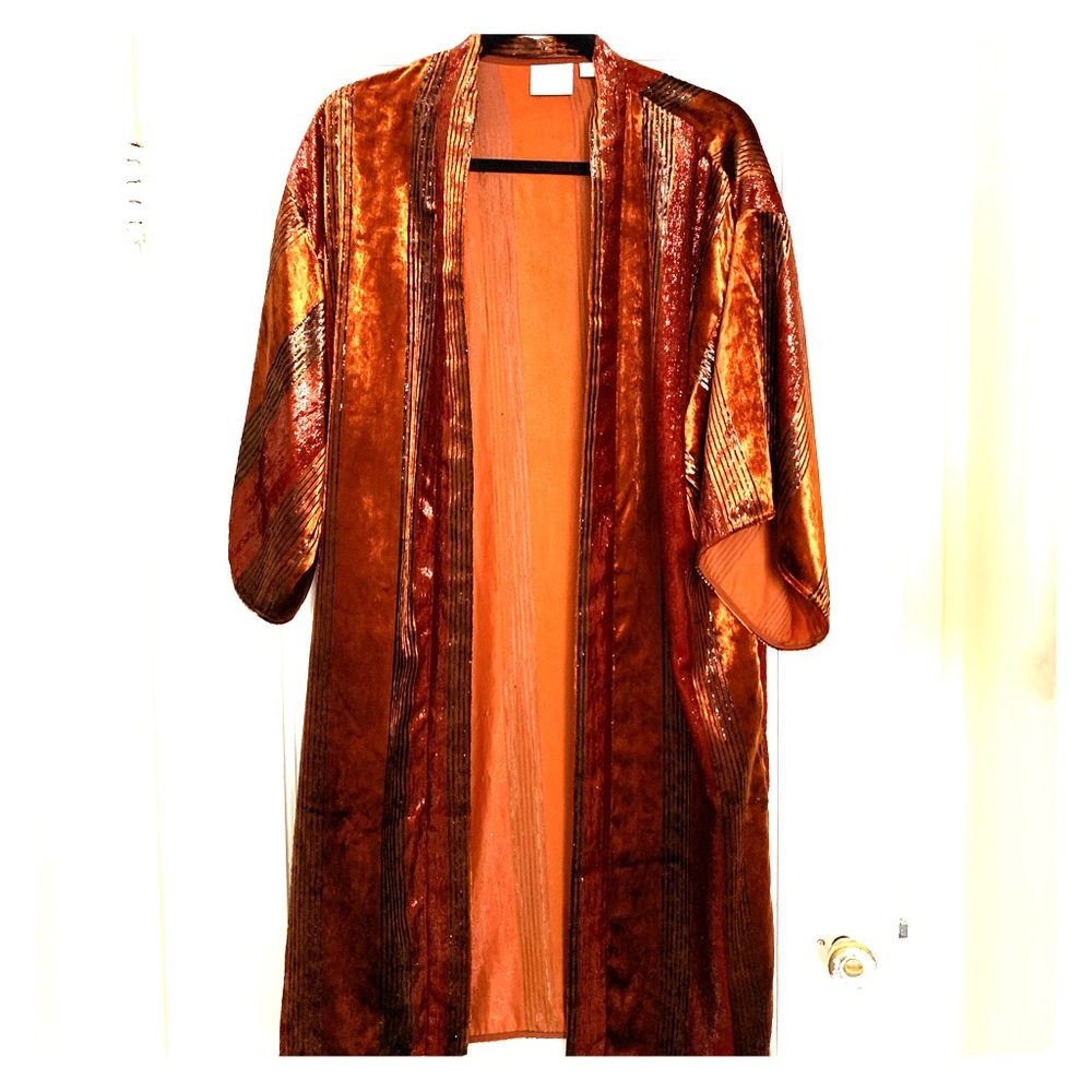 🍂 Anthropologie Metallic Shimmer Velvet Duster 🍂
